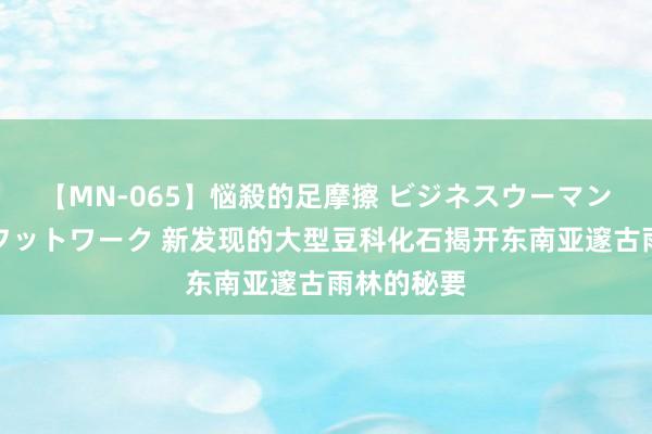 【MN-065】悩殺的足摩擦 ビジネスウーマンの淫らなフットワーク 新发现的大型豆科化石揭开东南亚邃古雨林的秘要