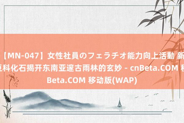 【MN-047】女性社員のフェラチオ能力向上活動 新发现的大型豆科化石揭开东南亚邃古雨林的玄妙 - cnBeta.COM 移动版(WAP)