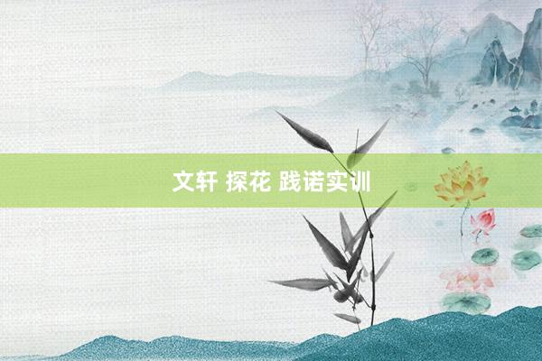 文轩 探花 践诺实训