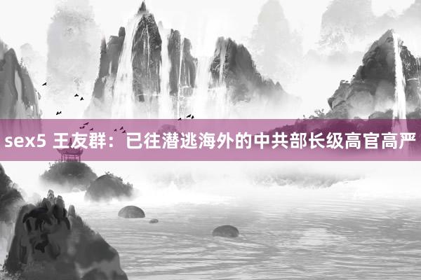 sex5 王友群：已往潜逃海外的中共部长级高官高严