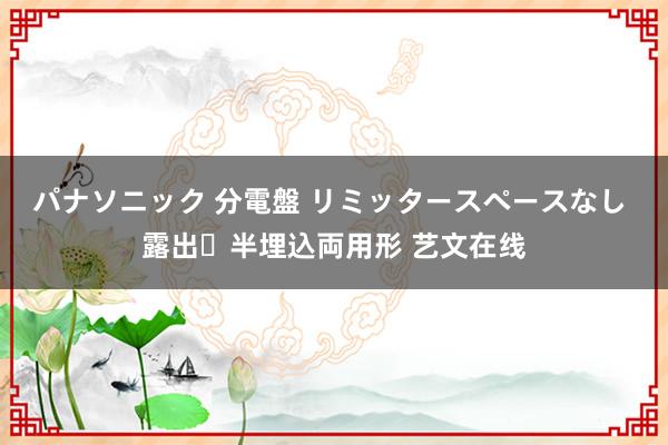 パナソニック 分電盤 リミッタースペースなし 露出・半埋込両用形 艺文在线