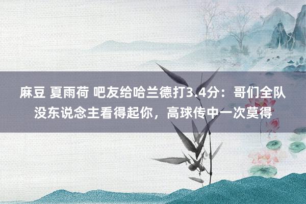 麻豆 夏雨荷 吧友给哈兰德打3.4分：哥们全队没东说念主看得起你，高球传中一次莫得